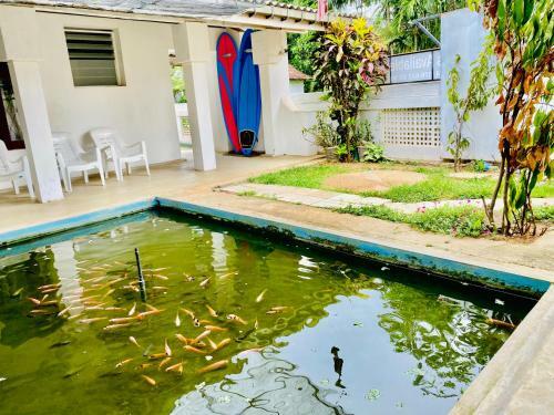 Hotel Hiriketiya Orchid Villa