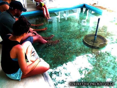 Hotel Hiriketiya Orchid Villa