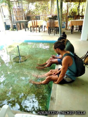 Hotel Hiriketiya Orchid Villa