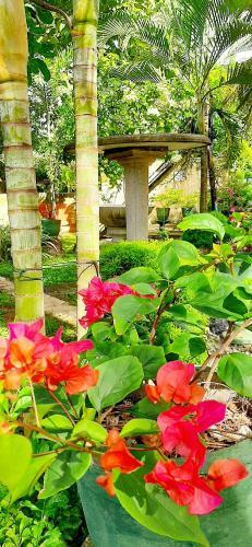 Hotel Cinnamon Garden - Hiriketiya