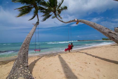 Hotel Mahi Mahi Beach Chalets