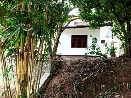 Hostal Eco Garden Hiriketiya