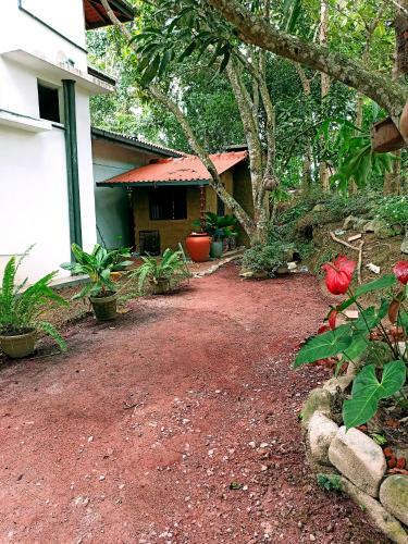 Hostal Eco Garden Hiriketiya
