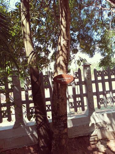 Hostal Eco Garden Hiriketiya