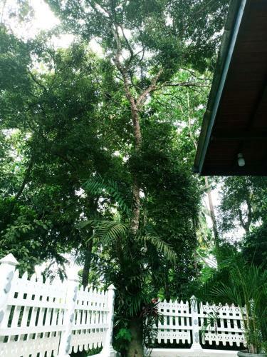 Hostal Eco Garden Hiriketiya