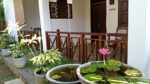 The Ed Corner - Hiriketiya