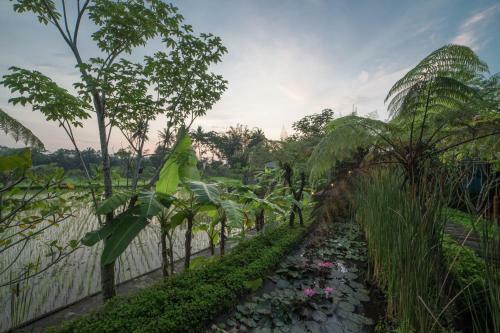 Hotel Rumah Jembarati