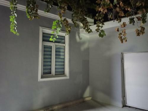 Guest House Gula