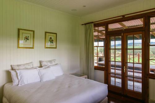 Lodge Hanging Tree Wines