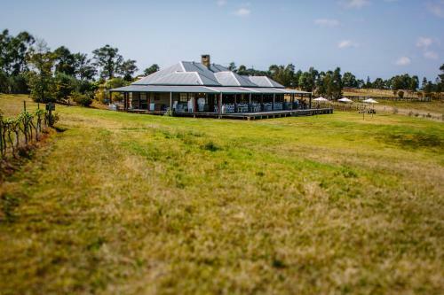 Lodge Hanging Tree Wines