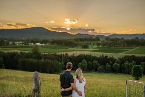 Lodge Hanging Tree Wines
