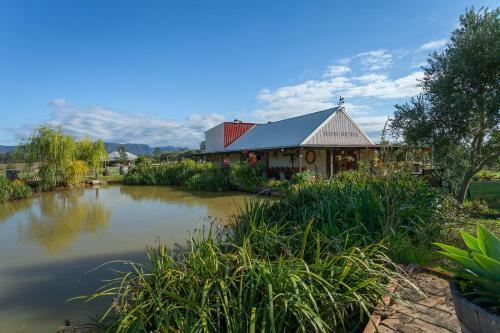 Lodge Hanging Tree Wines