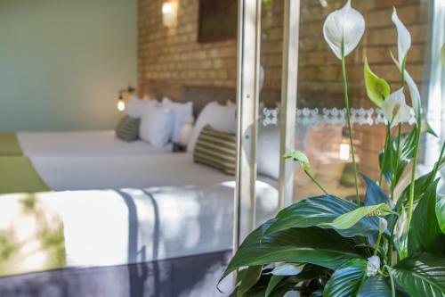 Sunshine Coast Motor Lodge