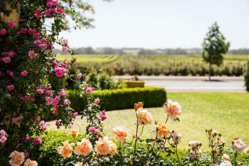Barossa House Bed & Breakfast