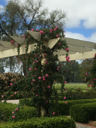 Barossa House Bed & Breakfast