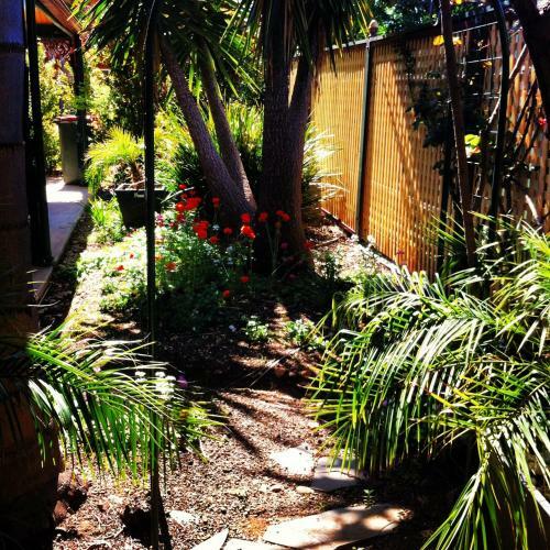 Apartamento Barossa Dreams