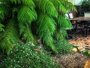 Kookaburra Motor Lodge