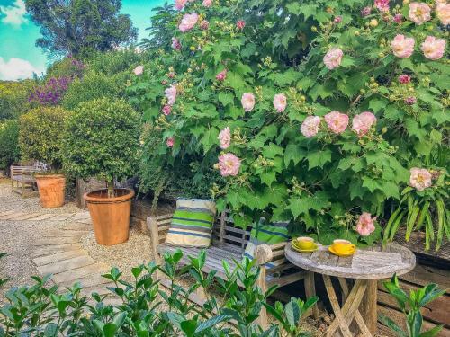 Bed & Breakfast Abelia House
