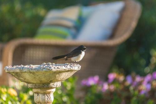 Bed & Breakfast Abelia House