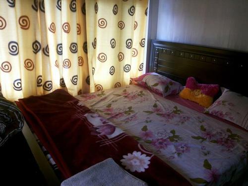 Hotel Kashmir Lodge