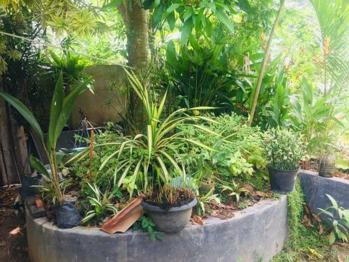 Susha Holiday Home - (susha Villa)