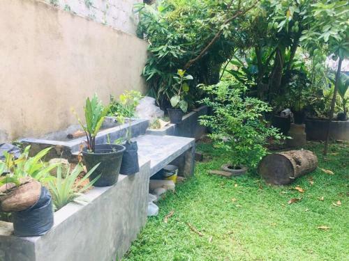 Susha Holiday Home - (susha Villa)