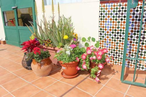 Apartamento Penthouse Victoria