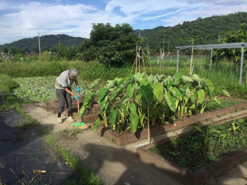 Lodge Tien Chon Xiao Lin Homestay