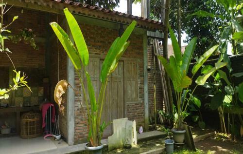 Villa Kania Parangtritis