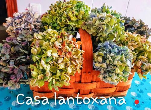 Apartamento Casa Lantoxana