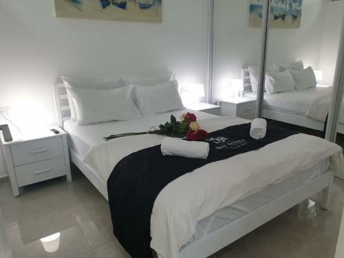 Apartamento Colony Suite