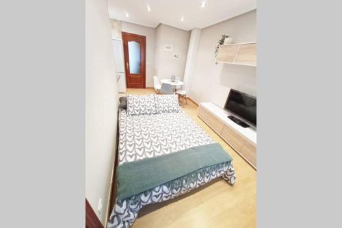 Apartamento Piso C�ntrico Con Terraza.