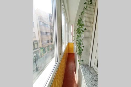 Apartamento Piso C�ntrico Con Terraza.