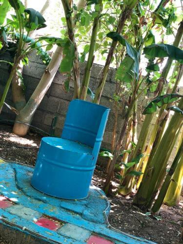 Agroturismo Happiness Farm