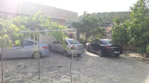 Ajloun Mihna Guest House