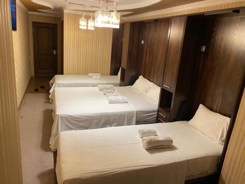 Budget Hostel