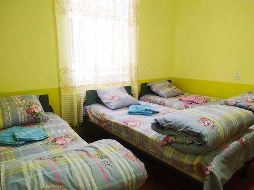 Hostel Begoyim