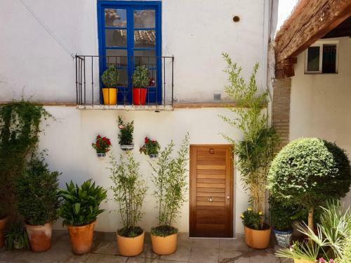 Apartamento En El Centro Del Albaic�n