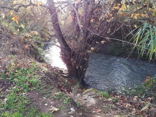 Apartamento Villa By The River Facing The Hermon In Dafna