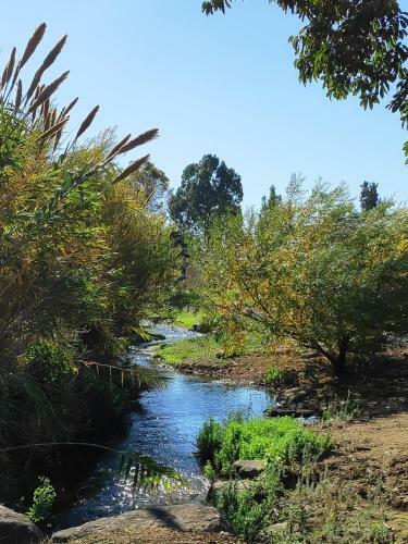 Apartamento Villa By The River Facing The Hermon In Dafna