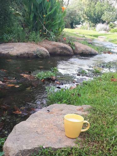 Apartamento Villa By The River Facing The Hermon In Dafna