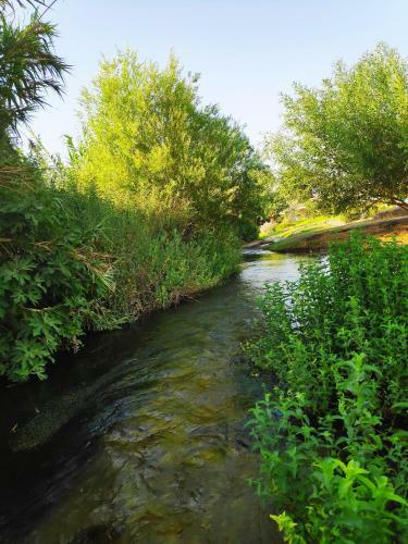 Apartamento Villa By The River Facing The Hermon In Dafna