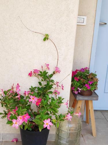 Apartamento Villa By The River Facing The Hermon In Dafna