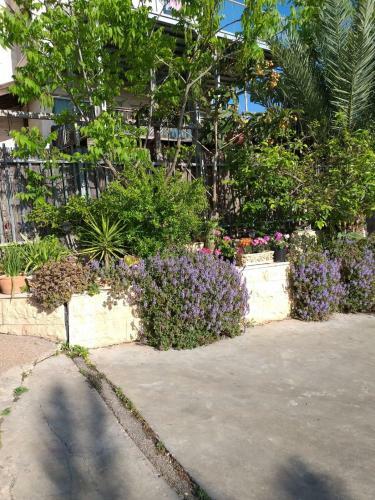 Apartamento Valentine House