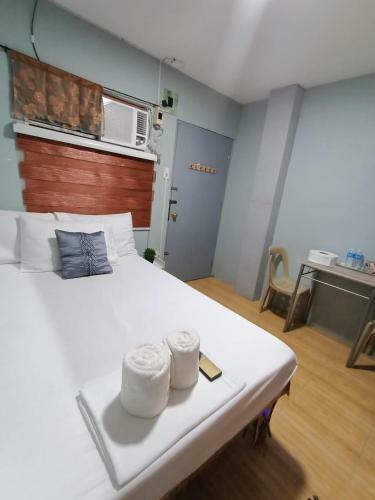Cabanatuan Transient Djci Apartelle Rm7