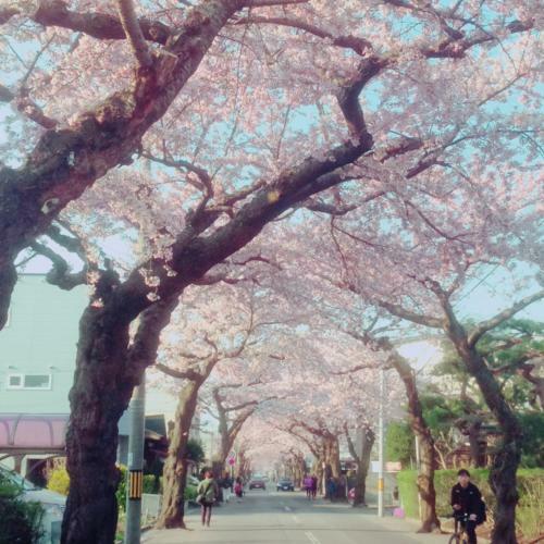 Apartamento Stay Akeboshi Kan