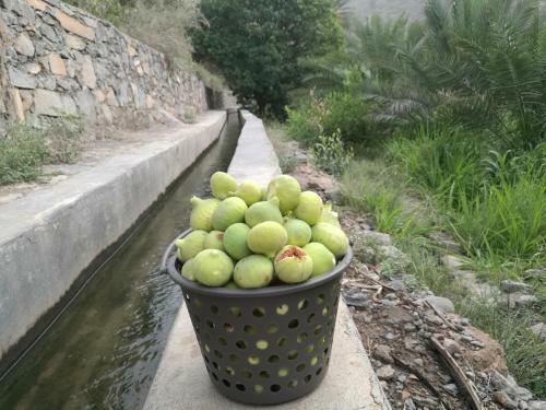Hostal Basmat Almisfah