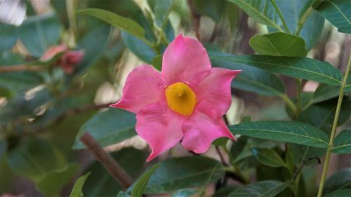 Agroturismo Casa Cueva ?la Estrella?
