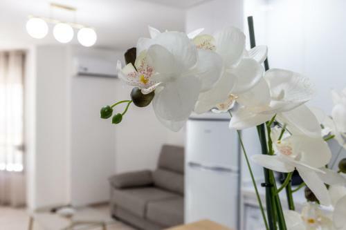 Apartamento Arabial Deluxe III