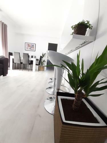 Domotic Lux Apartment